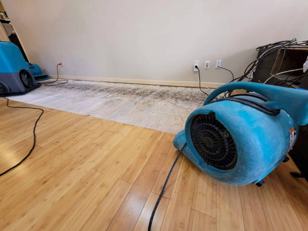 Professional Sewage Cleanup technician working in Excelsior Springs, MO